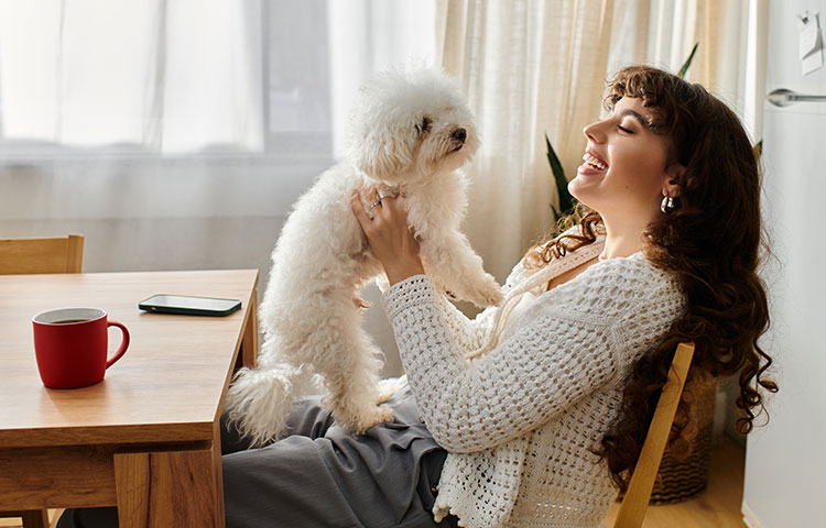 A young woman sits at a dining table and lifts her small, white pet dog up for a cuddle. Concept for dog pet insurance.